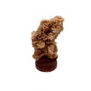 Vintage Algerian Desert Rose Gypsum Crystal Mineral Sand Structure on Base
